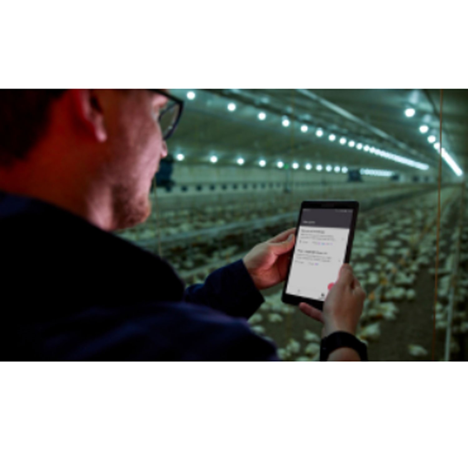 Λαμπτήρας 1250/MS30 230V IA1 VWB NatureDynamics Junglite LED 