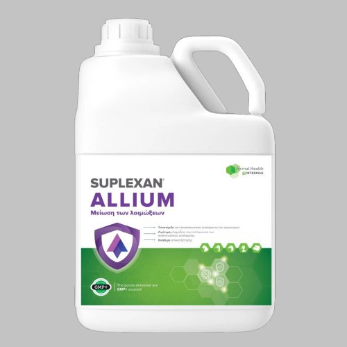 Suplexan Allium Σκορδέλαιο 